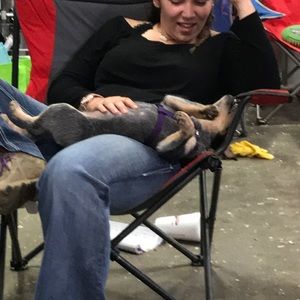 Meet your Posher, Janet